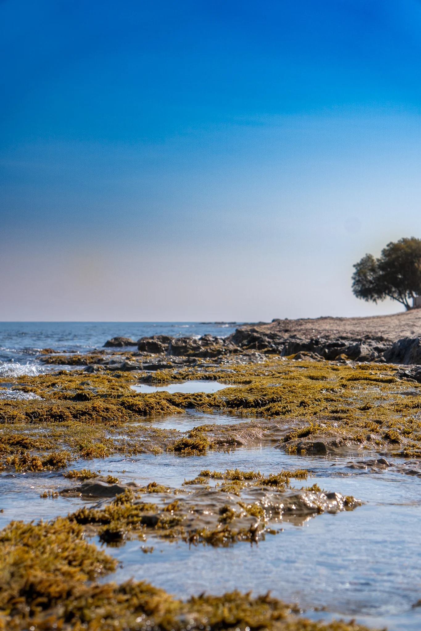 Birthplace of Zeus: Crete