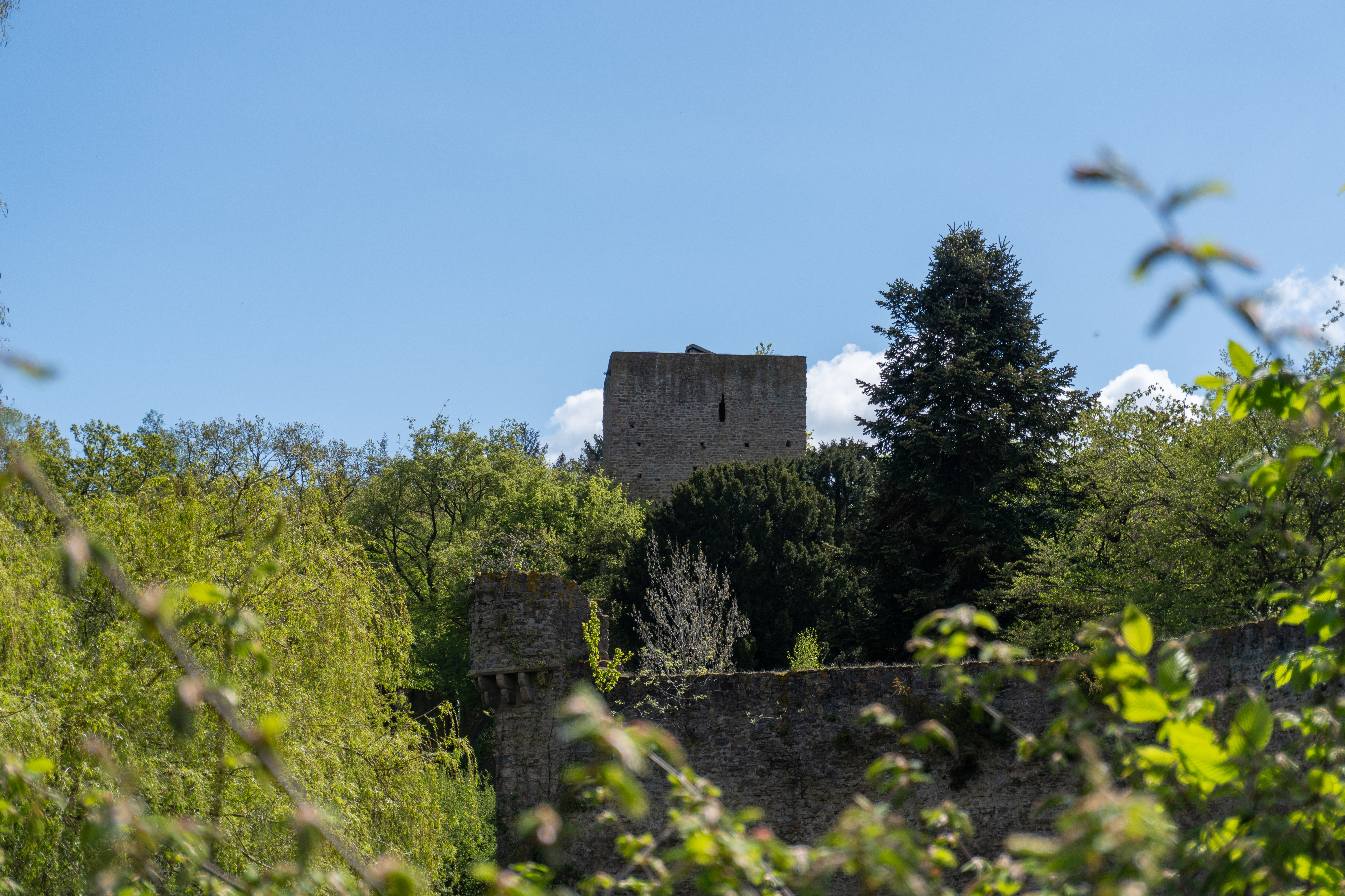 The castle was likely built in the 11th or 12th century. It is believed to have been constructed by a Lord of Har(d)t, who first appears in records in 1105. The first documented mention of the castle dates back to 1166. In 1205, Archbishop Bruno of Sayn captured the castle and partially destroyed it in the process.