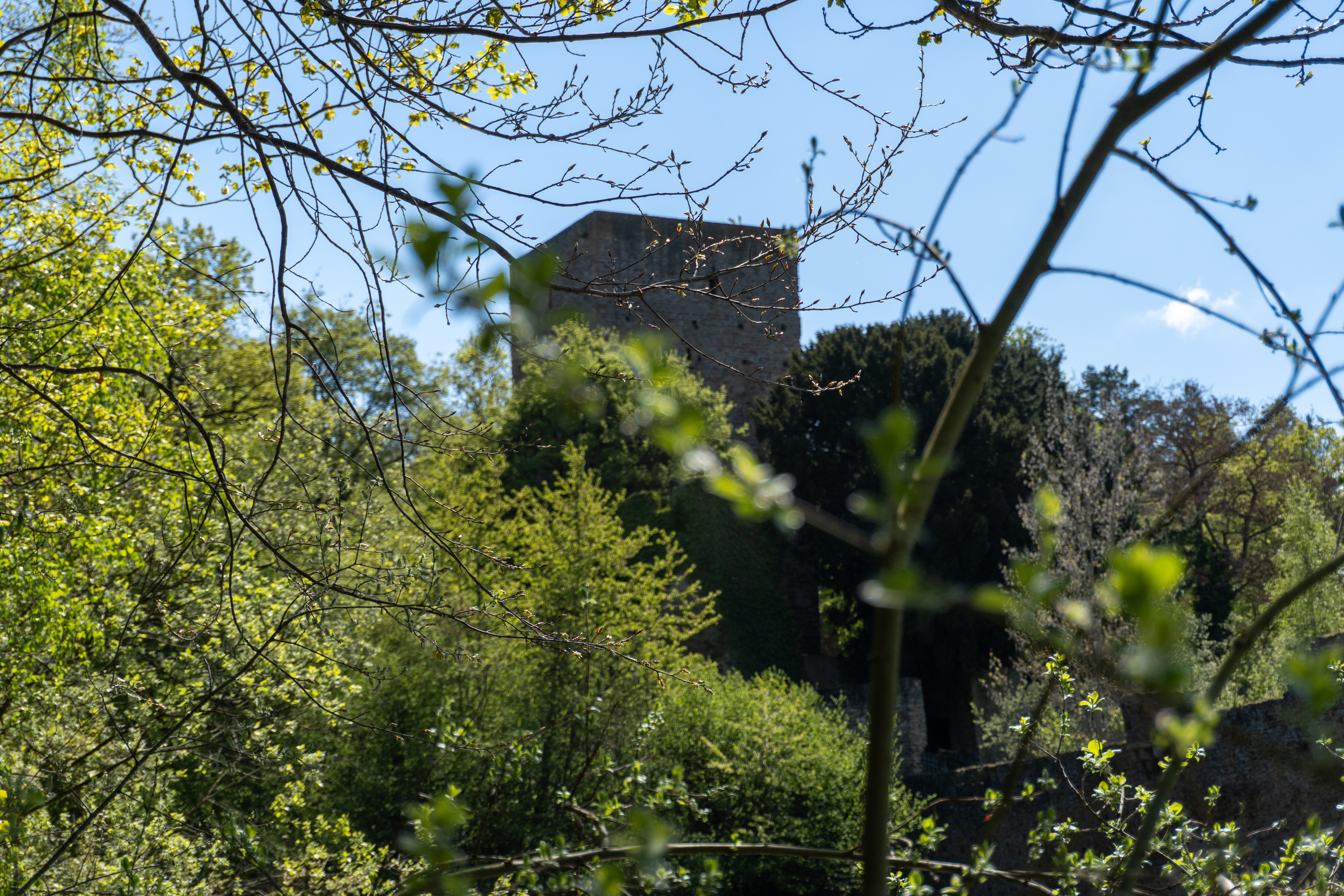 It is also known that Count Friedrich von Hochstaden bequeathed Hardtburg Castle to the Archbishopric of Cologne in 1246. The castle, which then belonged to the Electorate of Cologne, served as the administrative seat of the Hardt district—covering an area of 12,100 hectares—until 1794.